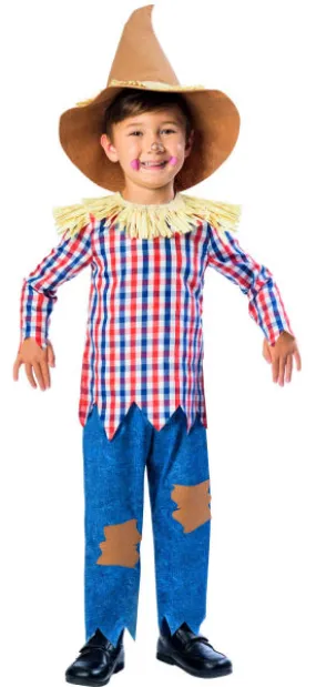 Boys Oz Fairytale Scarecrow Book Day Costume