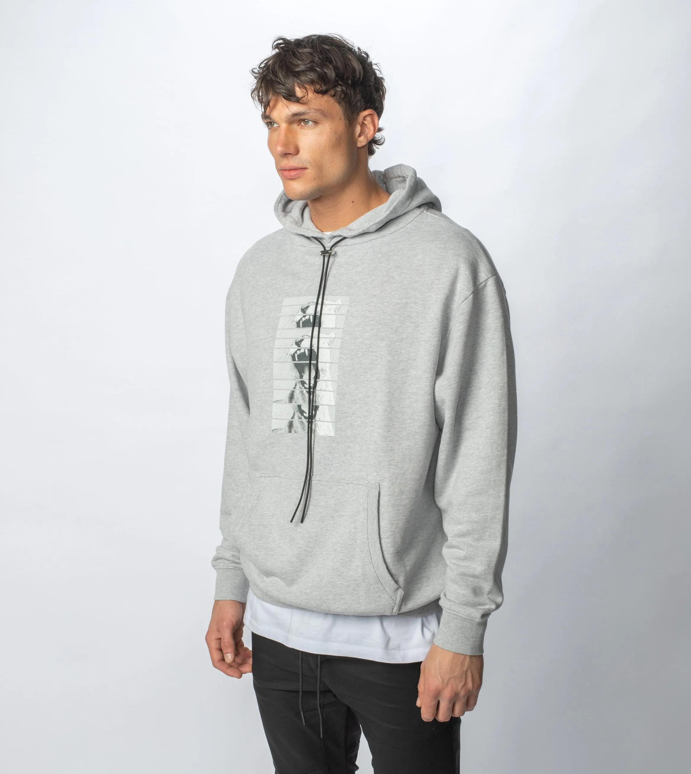 Lowgo Mono Hood Sweat Silver Marle