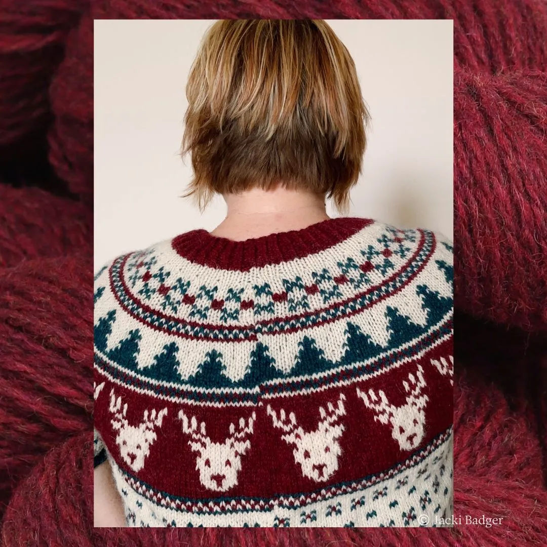 Rockin' Reindeer, Richard Sweater Kit