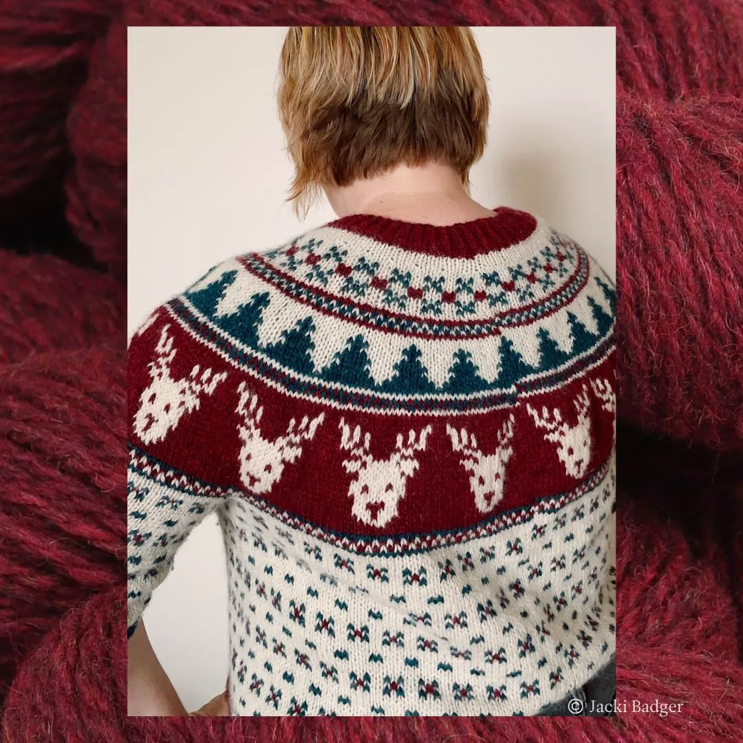 Rockin' Reindeer, Richard Sweater Kit