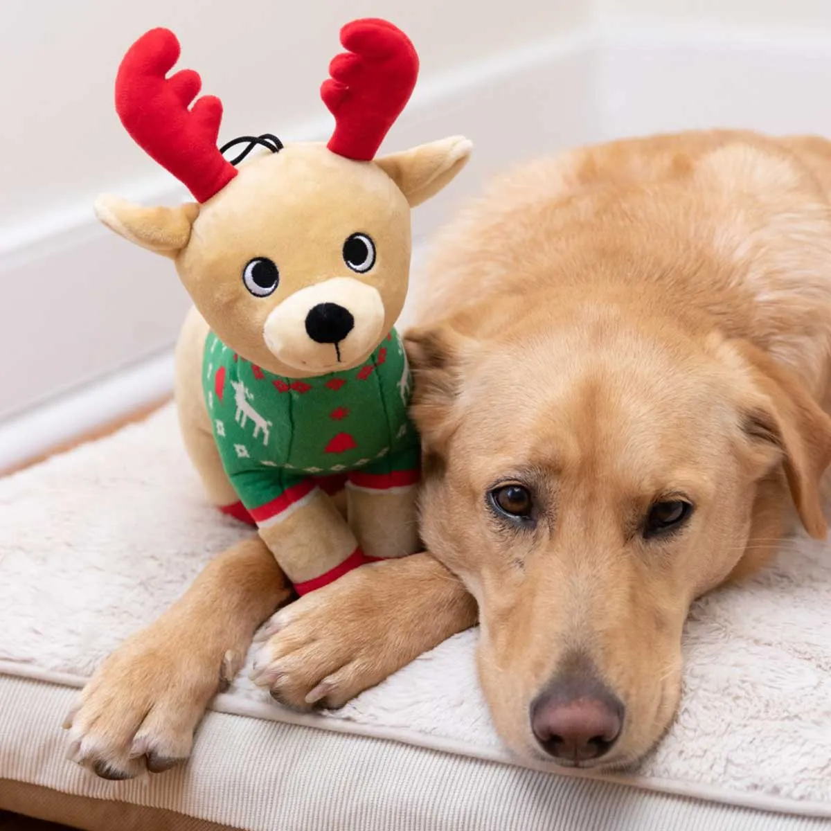 Ruby Reindeer Plush Dog Toy